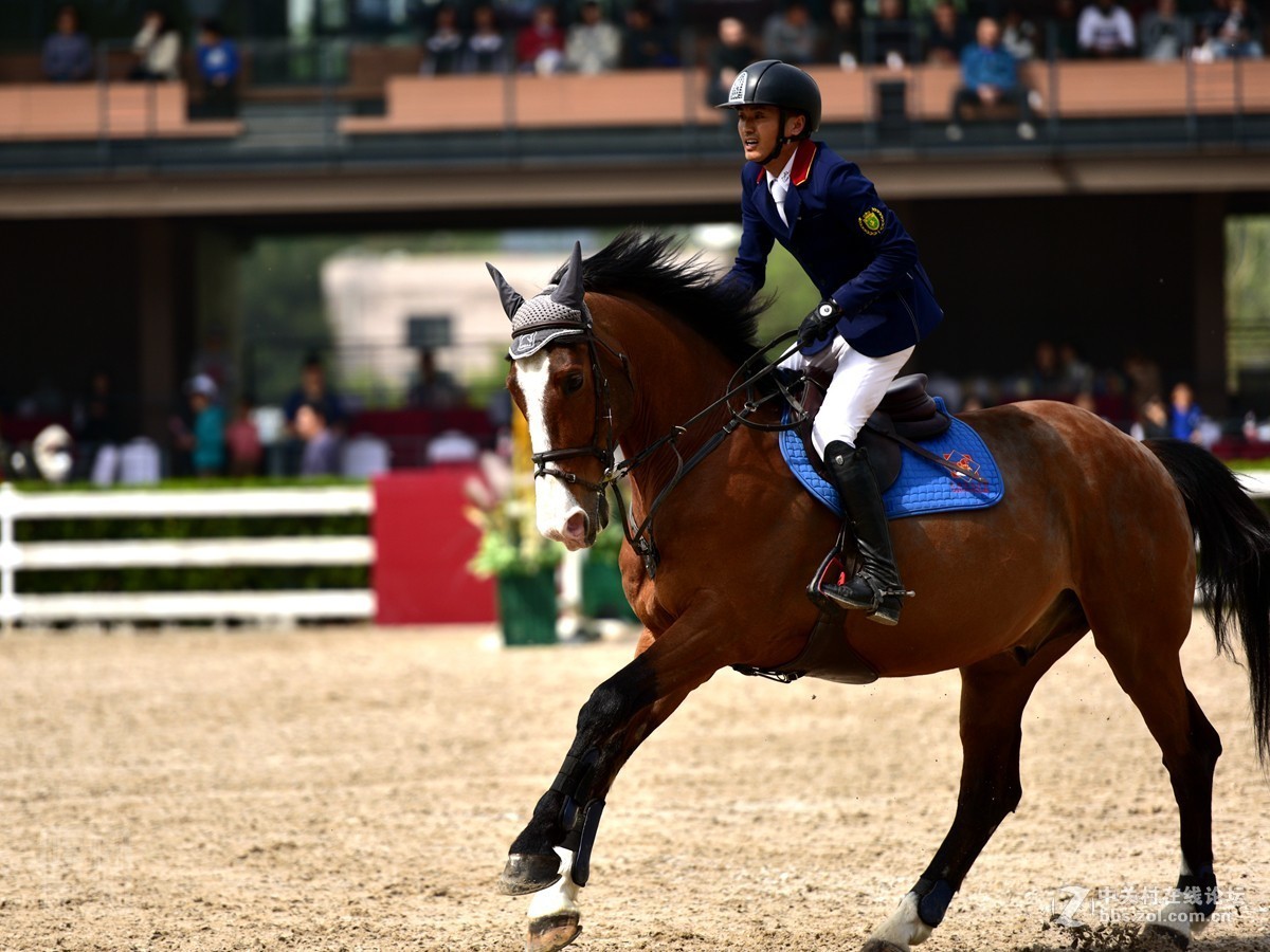 天星调良国际马术障碍大赛抓拍1