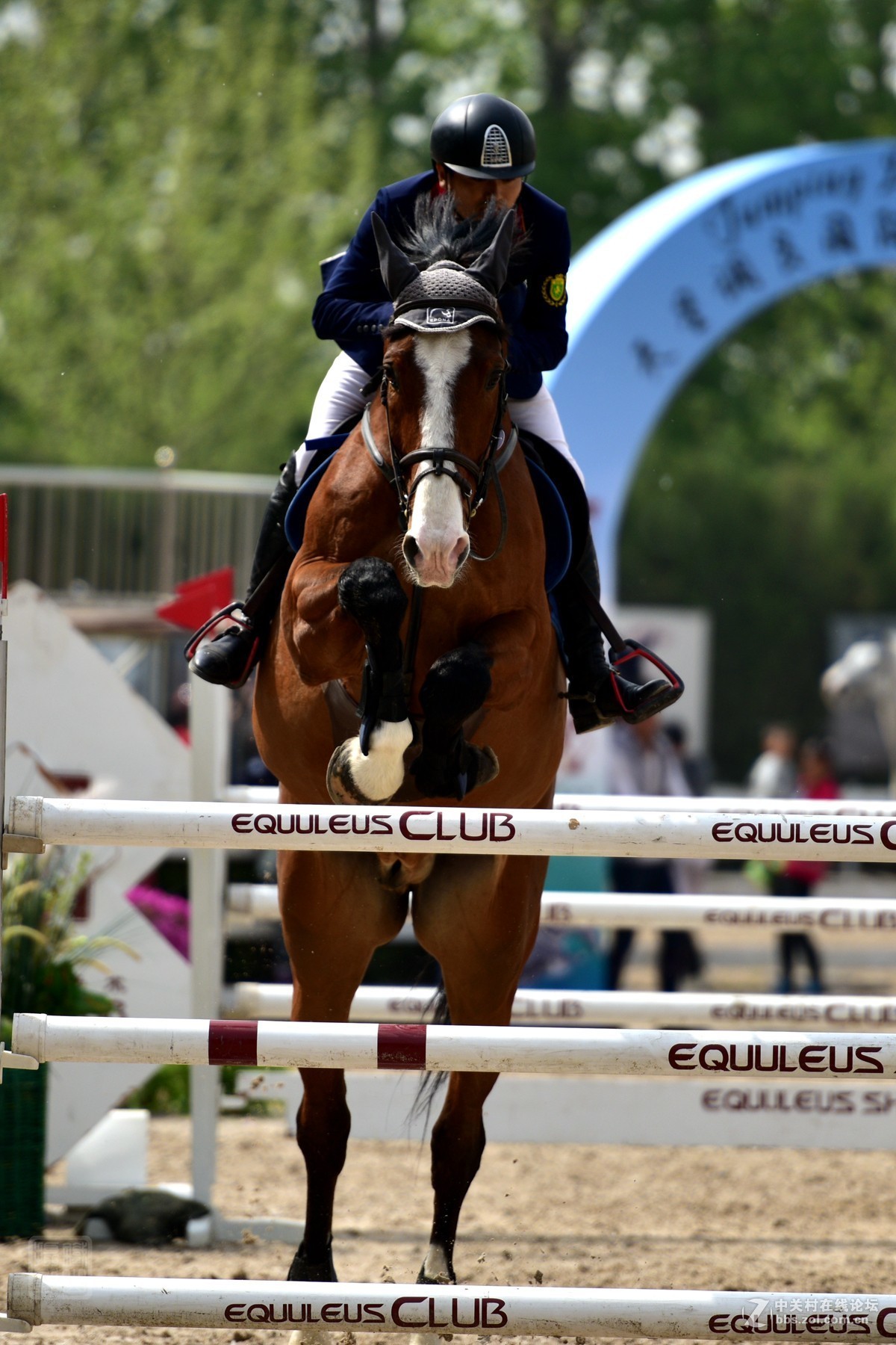 天星调良国际马术障碍大赛抓拍1