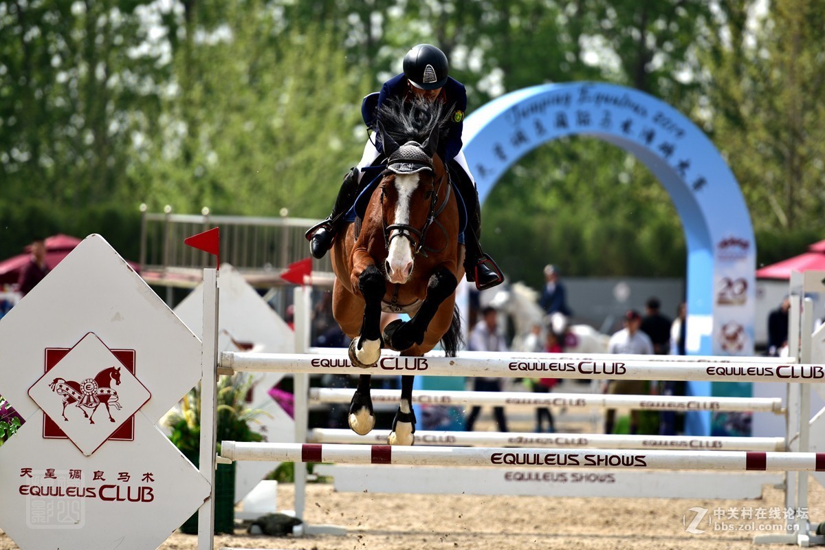 天星调良国际马术障碍大赛抓拍1