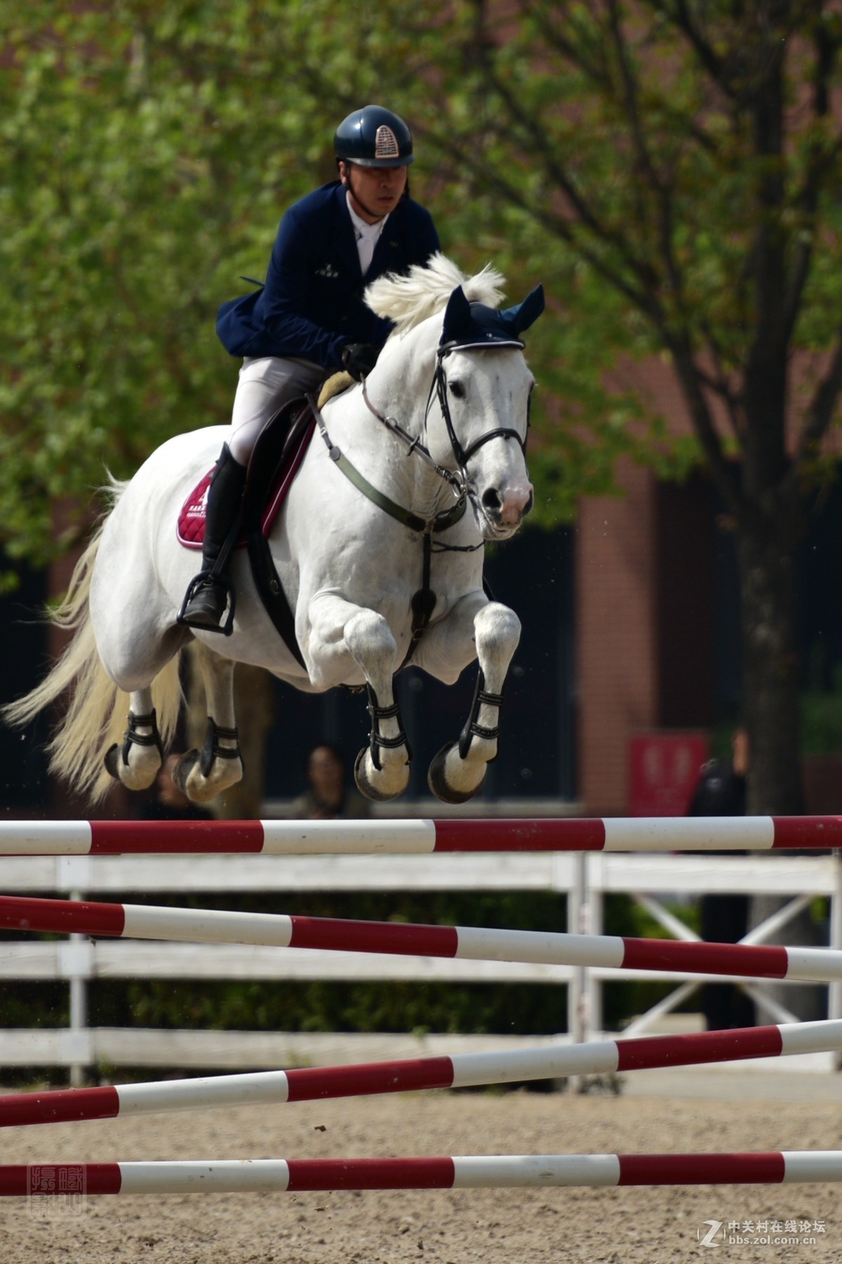 天星调良国际马术障碍大赛抓拍1