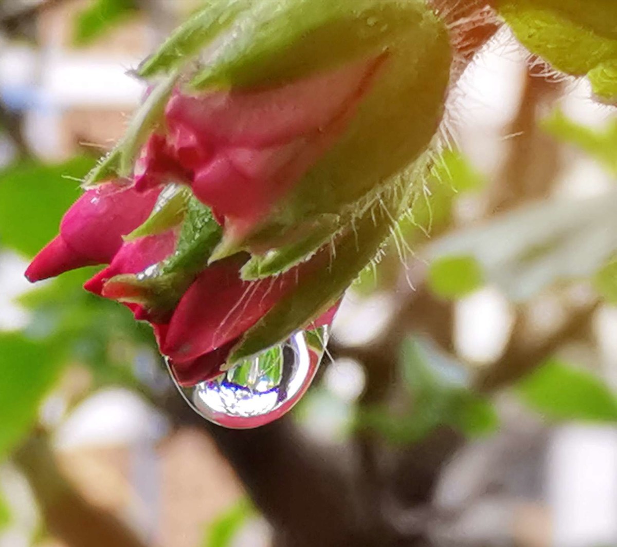 庆重返星空(中国)，交一组作业，请拍友老师们指导