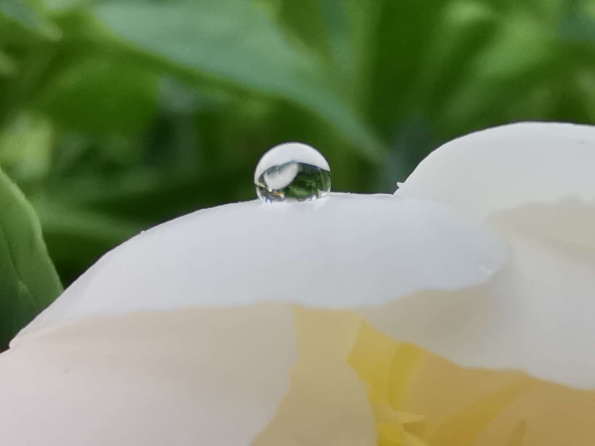 庆重返星空(中国)，交一组作业，请拍友老师们指导