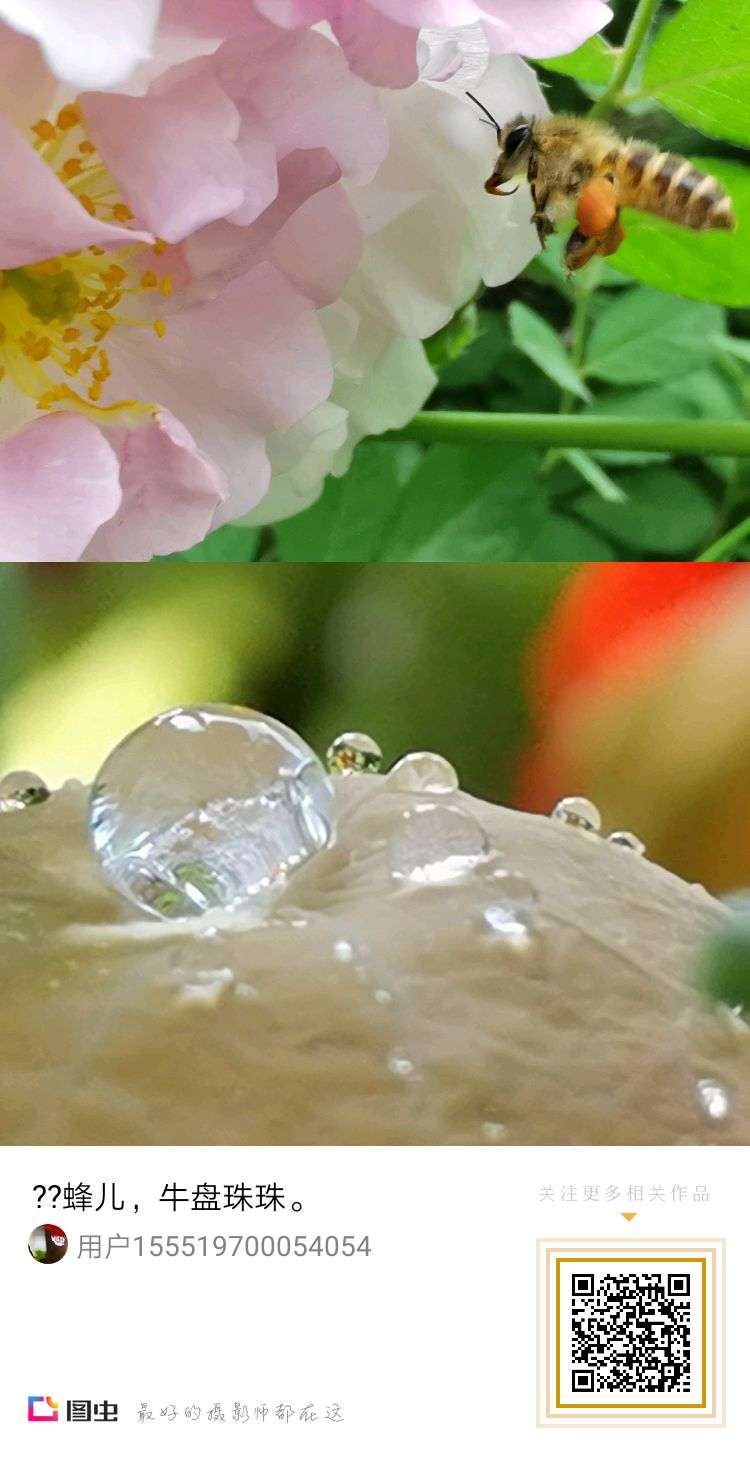 庆重返星空(中国)，交一组作业，请拍友老师们指导