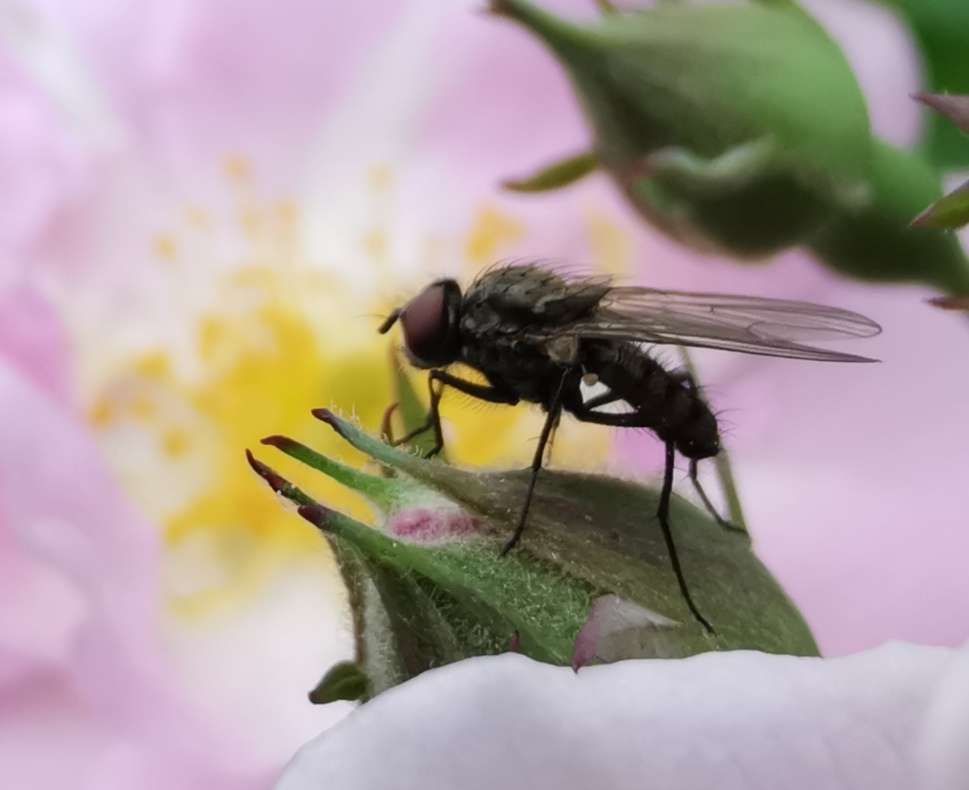 庆重返星空(中国)，交一组作业，请拍友老师们指导