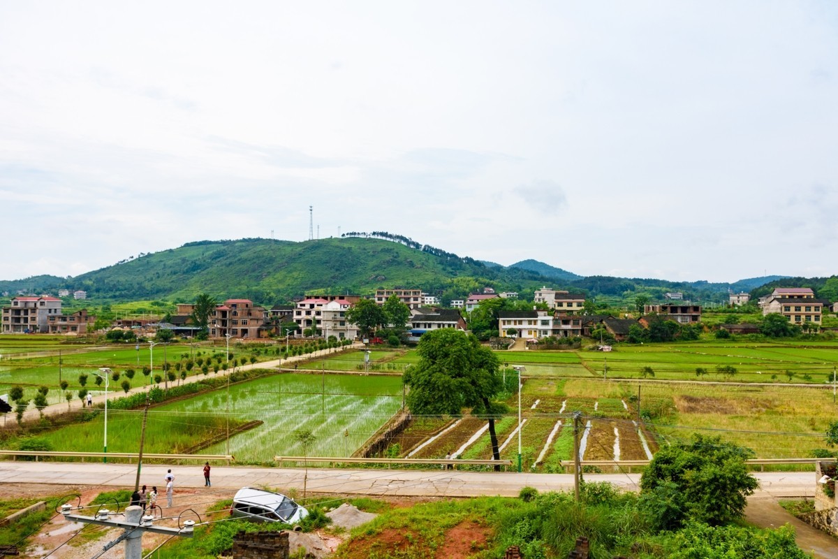 尼康D3400+适马17-50锐度测试-乱拍的，不讲构图