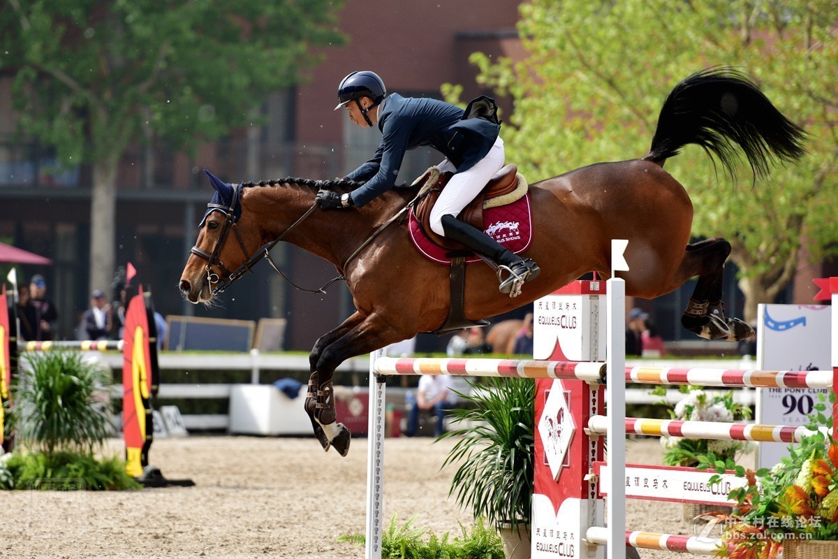 天星调良国际马术障碍大赛抓拍1