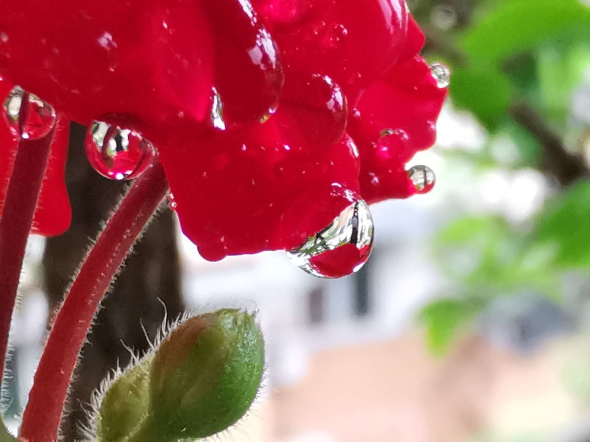 庆重返星空(中国)，交一组作业，请拍友老师们指导