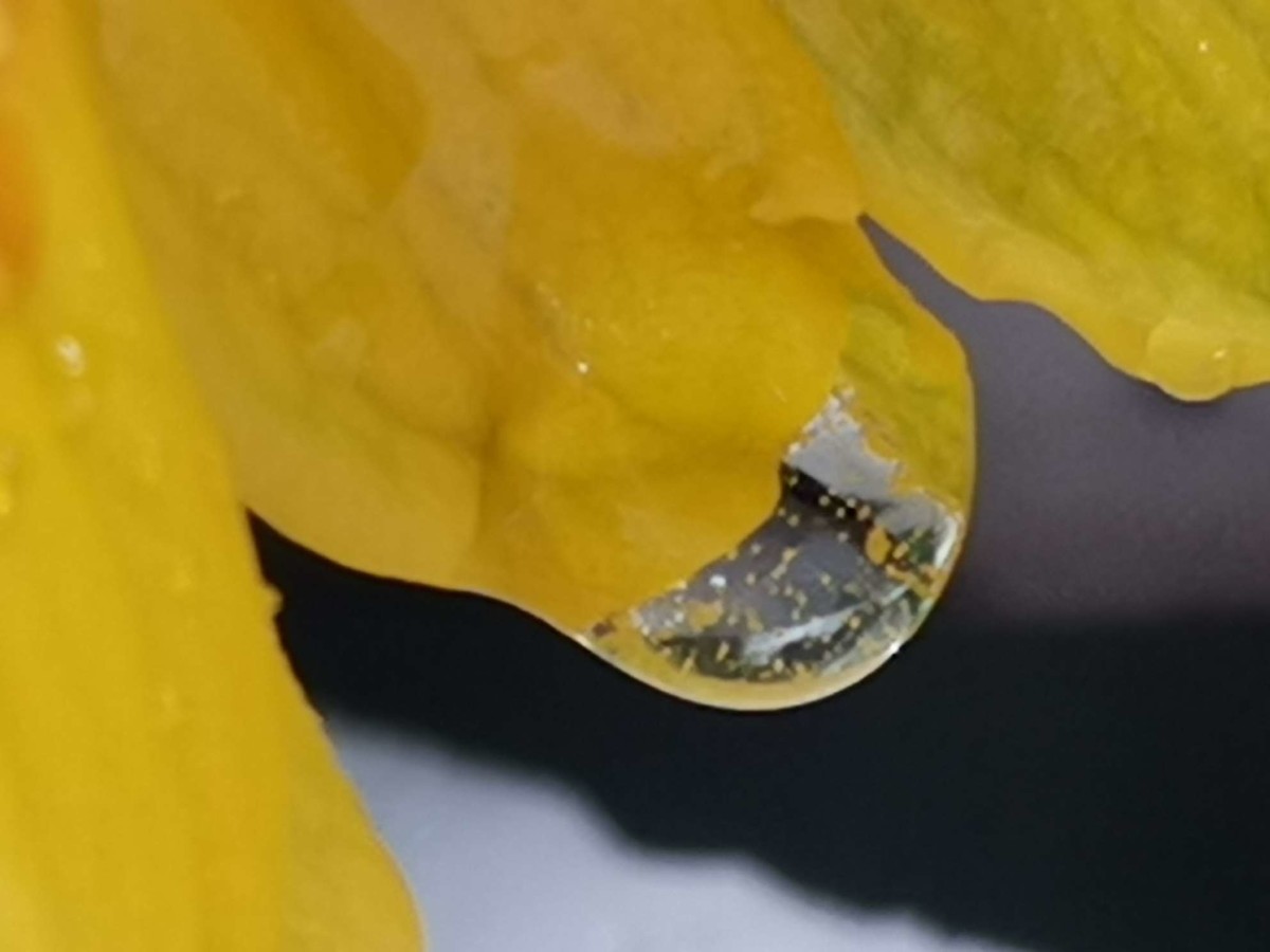庆重返星空(中国)，交一组作业，请拍友老师们指导