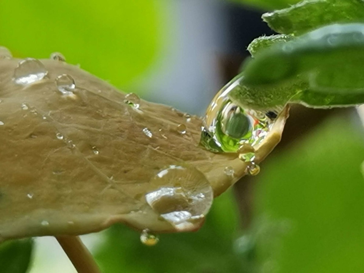 庆重返星空(中国)，交一组作业，请拍友老师们指导