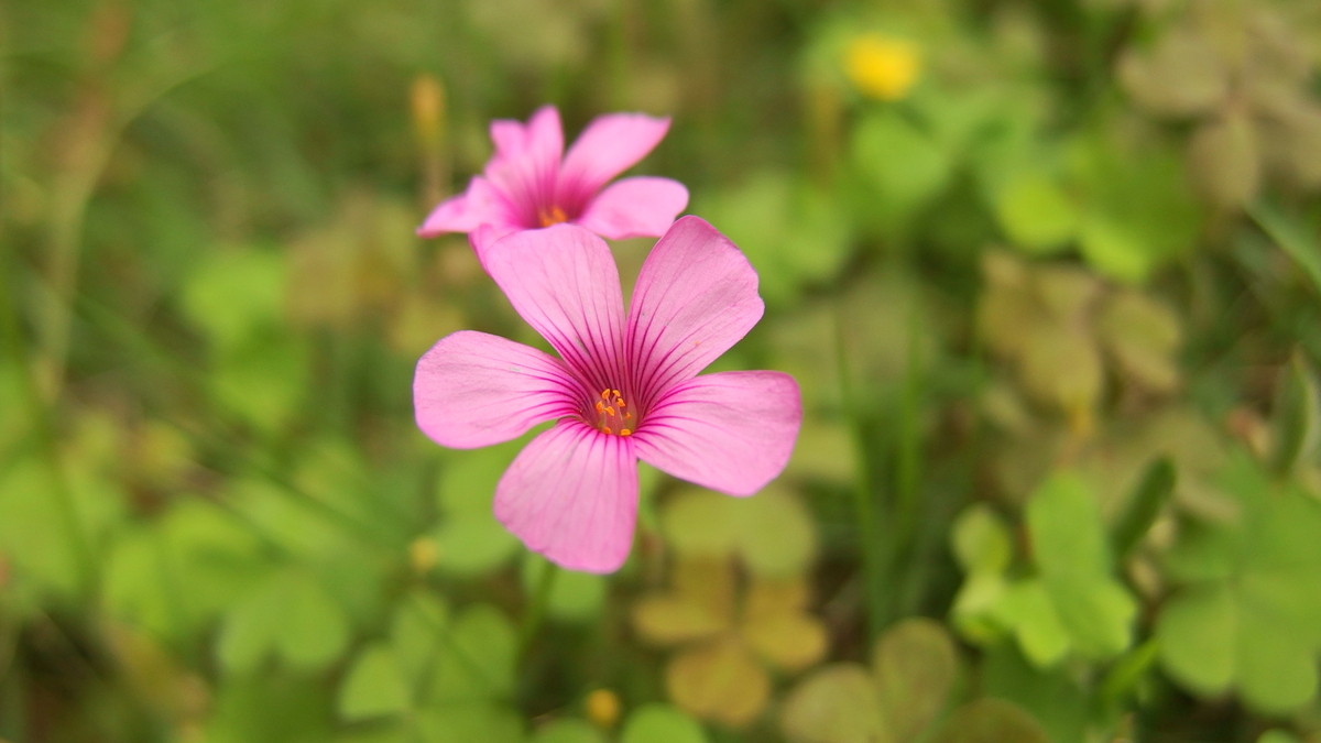本版块第一次发帖，多多关照哈——无锡东林书院
