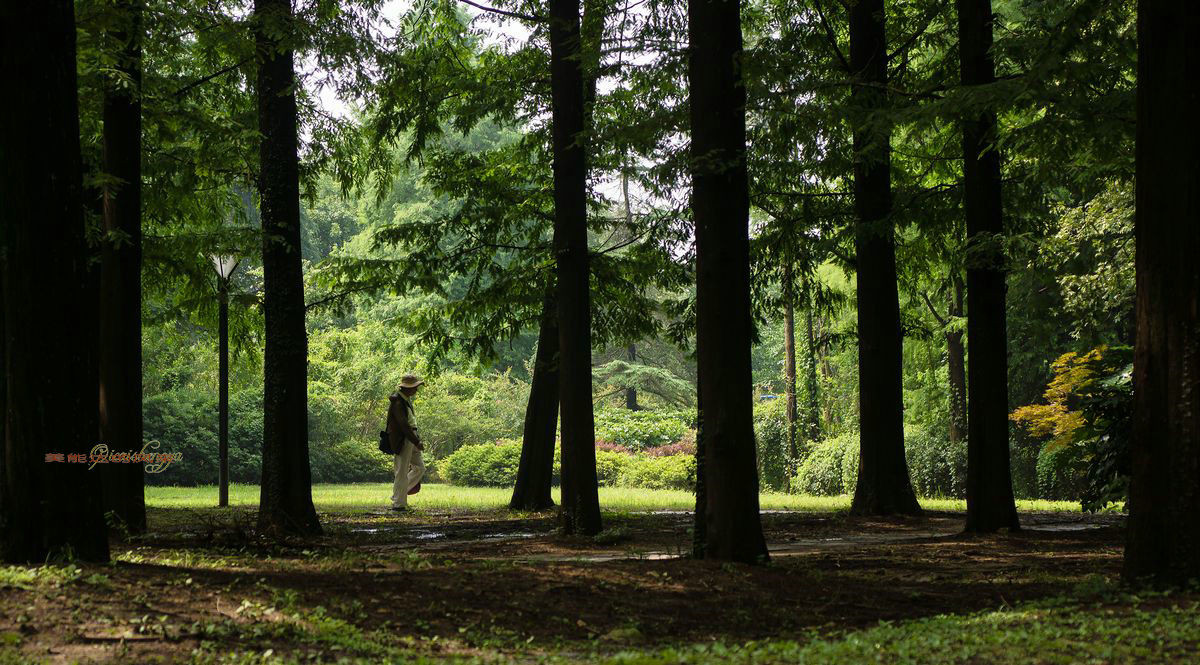 老镜头——美能达的风采