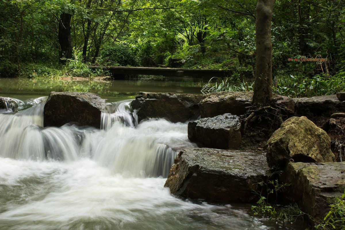 老镜头——美能达的风采