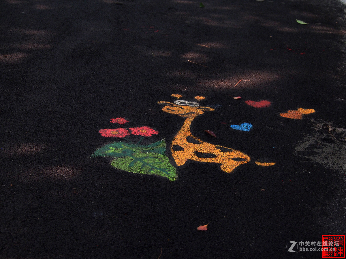 重庆歌乐山森林公园沿途小图案随拍（1）