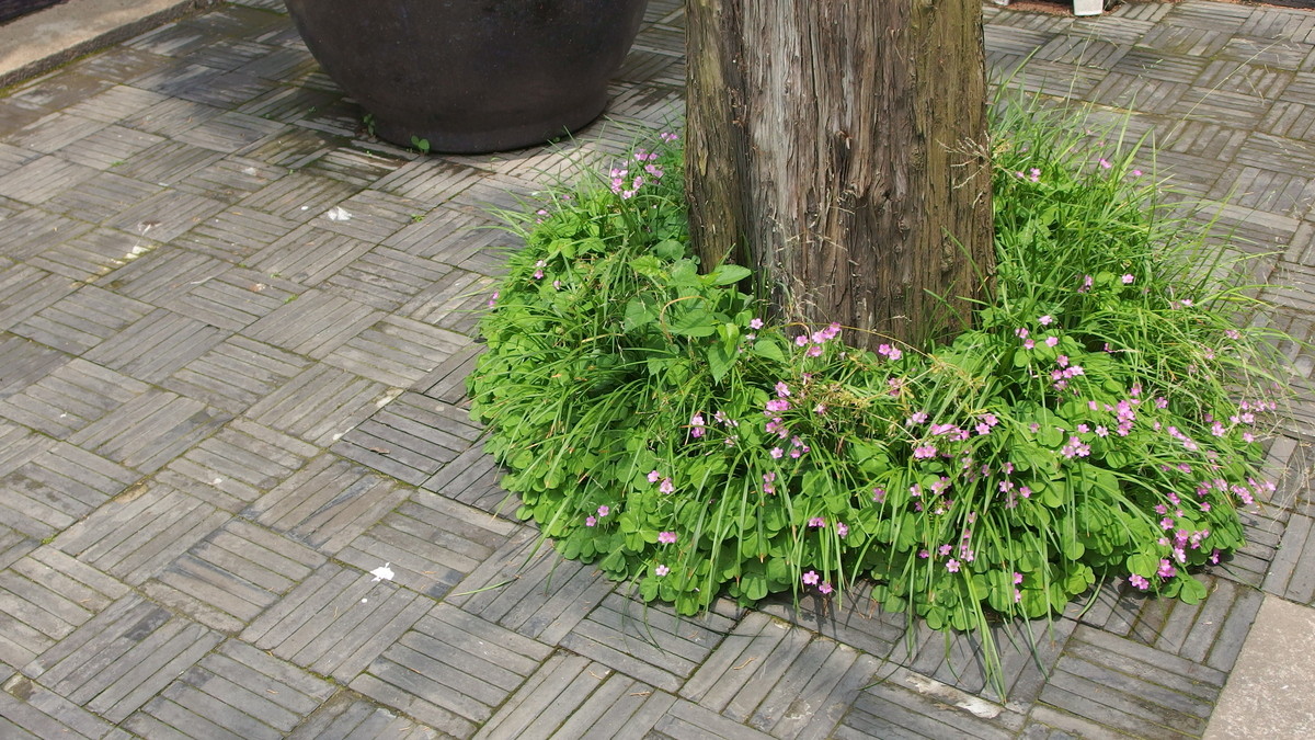 本版块第一次发帖，多多关照哈——无锡东林书院