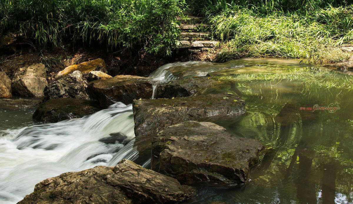 老镜头——美能达的风采