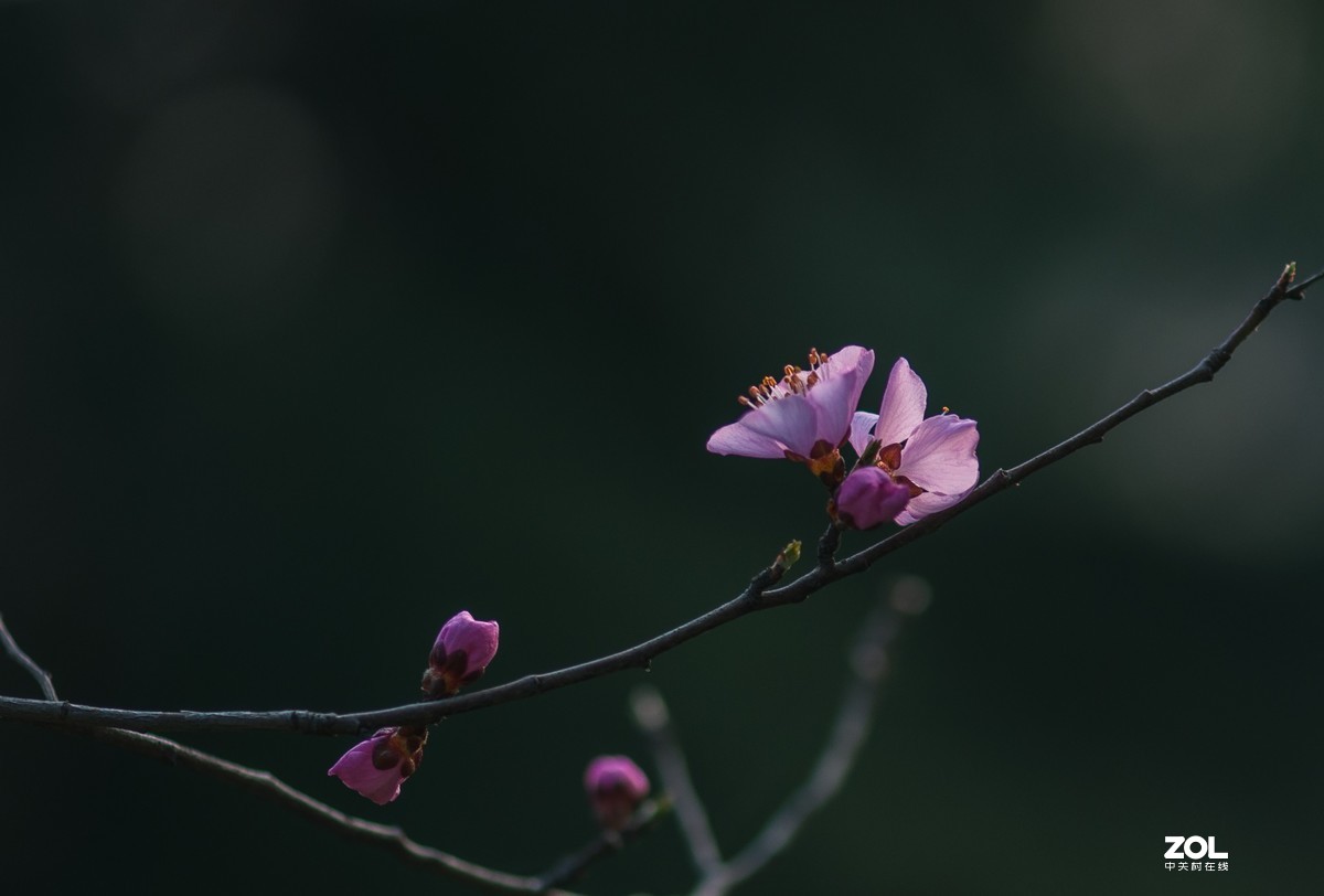 把酒祝东风，又是ー年春。