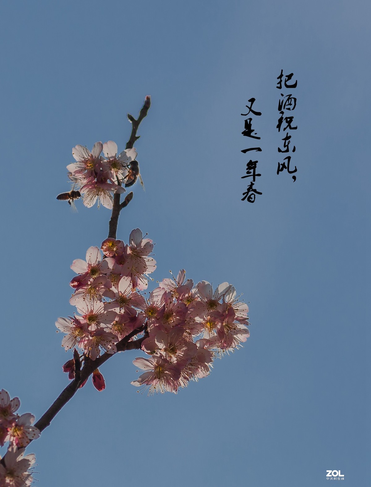 把酒祝东风，又是ー年春。