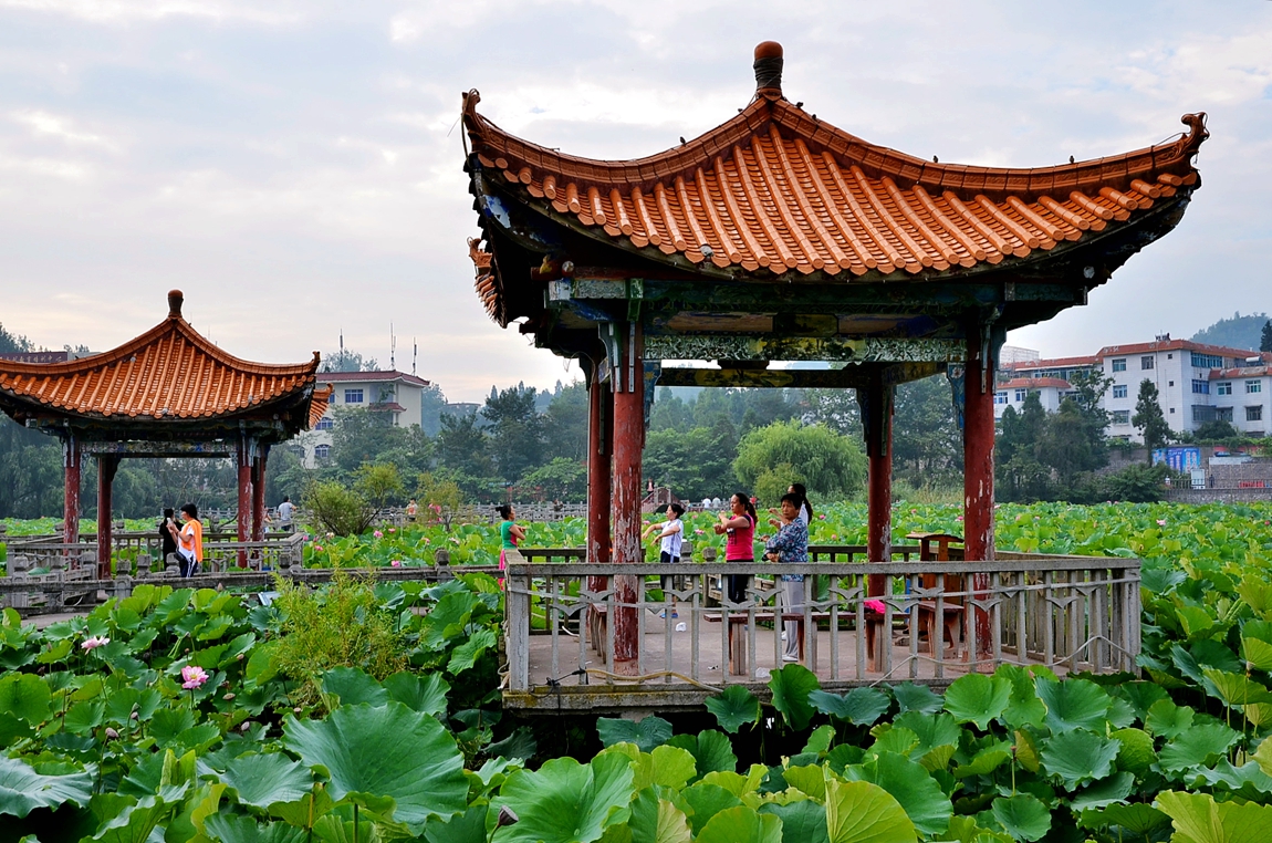 公园晨拍招堤风光