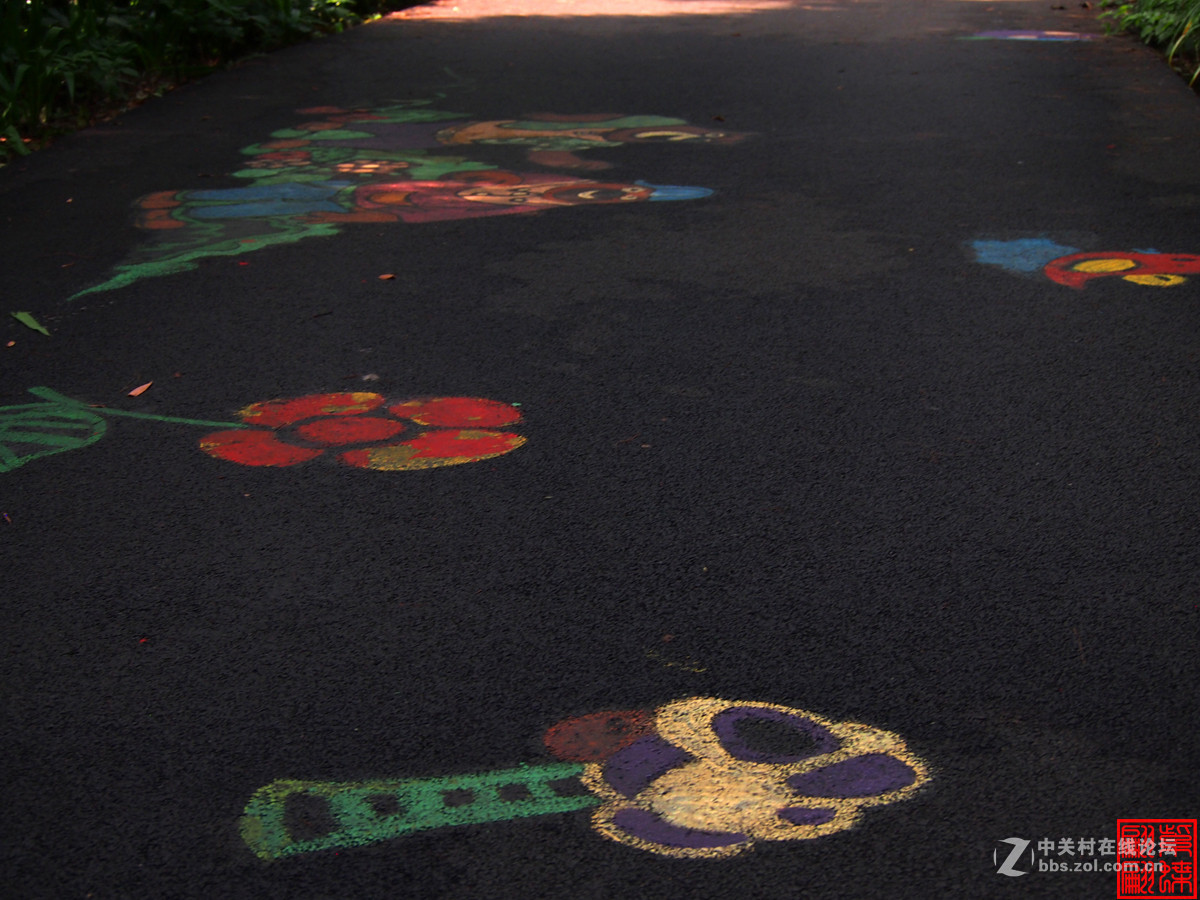 重庆歌乐山森林公园沿途小图案随拍（1）