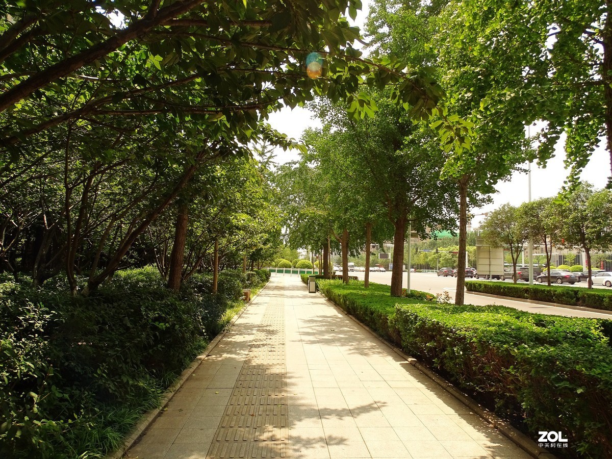 走走拍拍（2019.08.15——2）