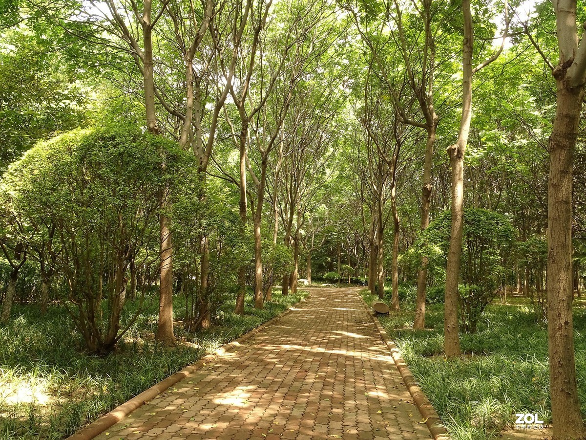 走走拍拍（2019.08.15——2）