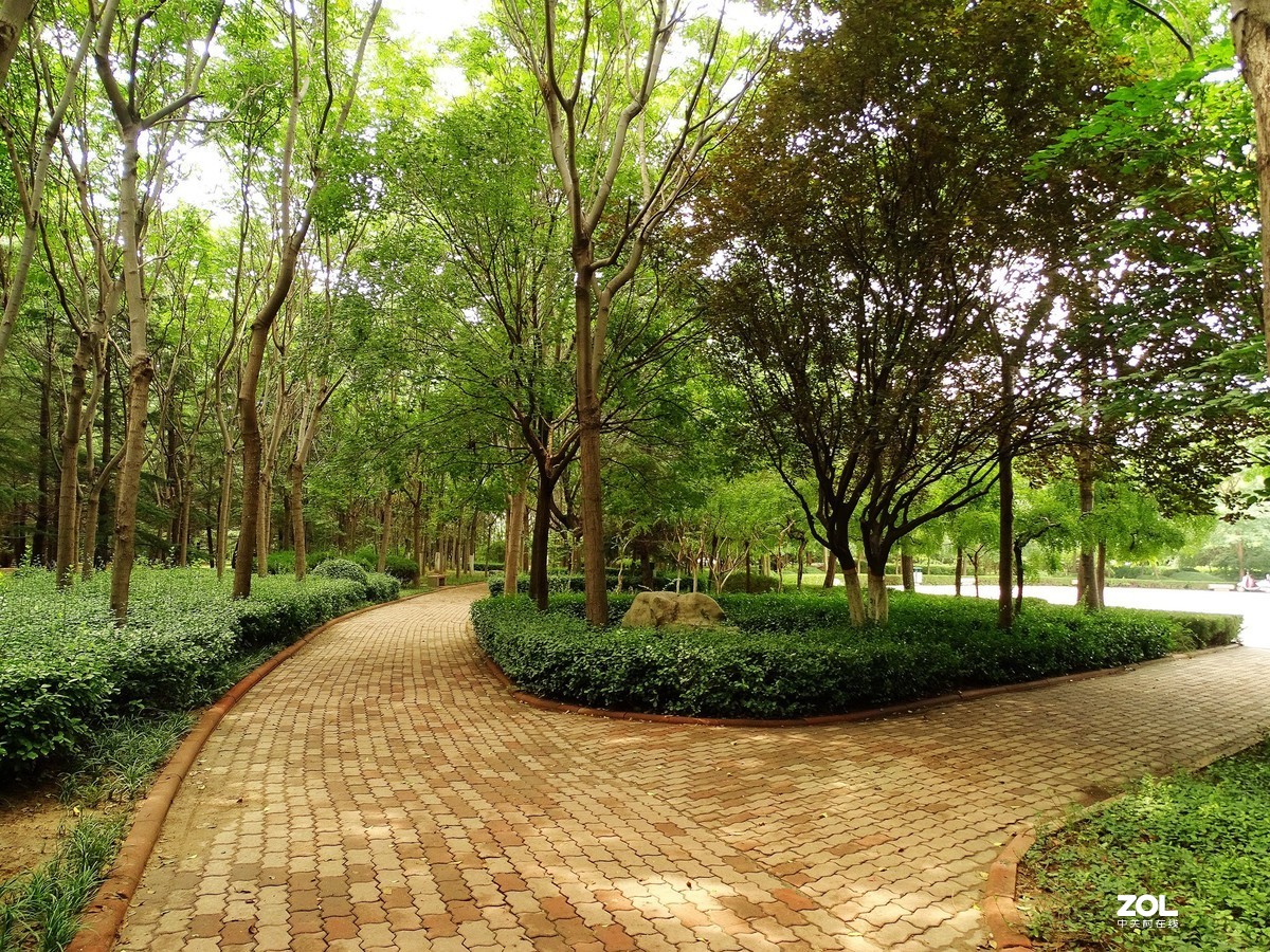 走走拍拍（2019.08.15——2）