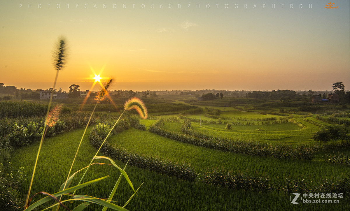 去年夏天，我和我的60D