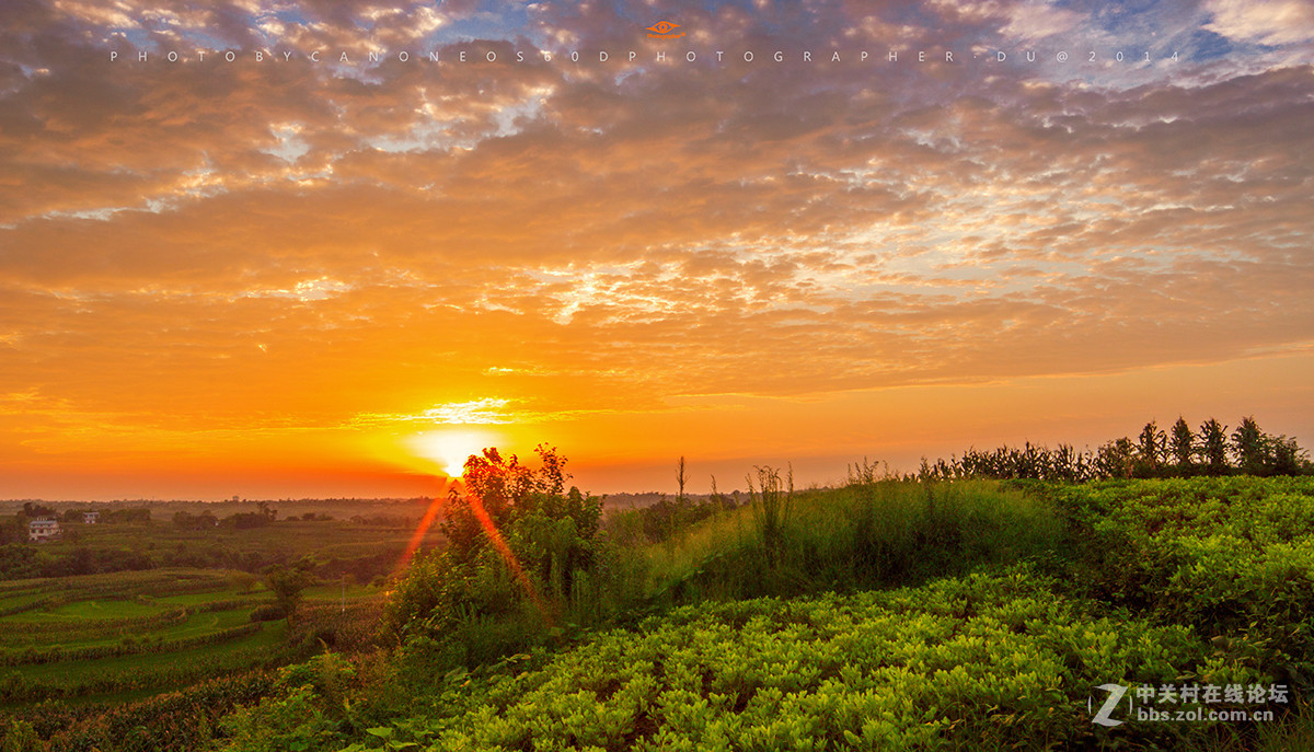 去年夏天，我和我的60D