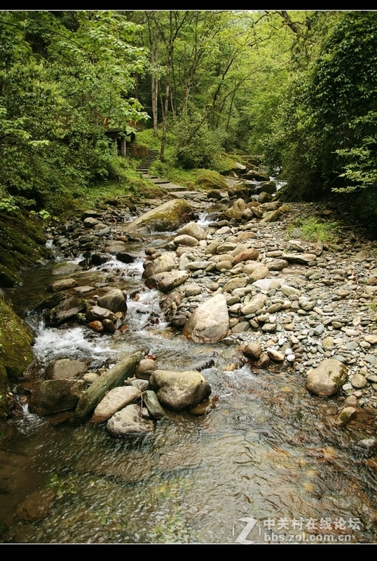 唐家河國家自然保護區風景