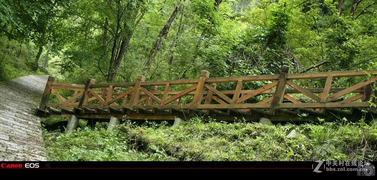 “唐家河”国家自然保护区风景