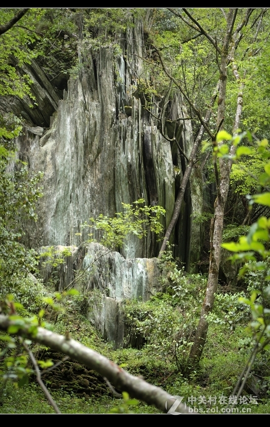“唐家河”国家自然保护区风景