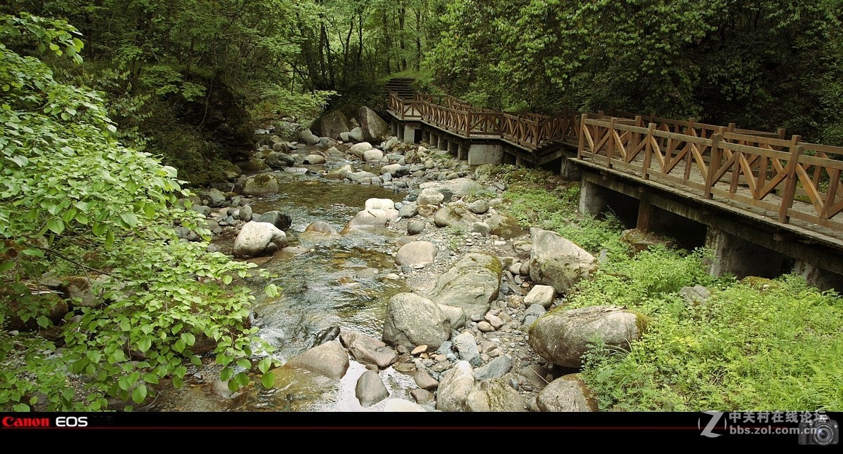 “唐家河”国家自然保护区风景