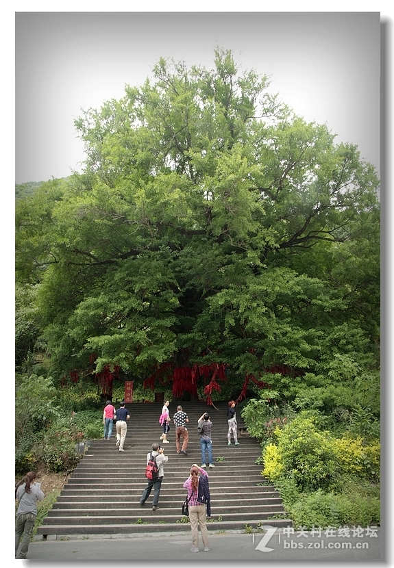 “唐家河”国家自然保护区风景