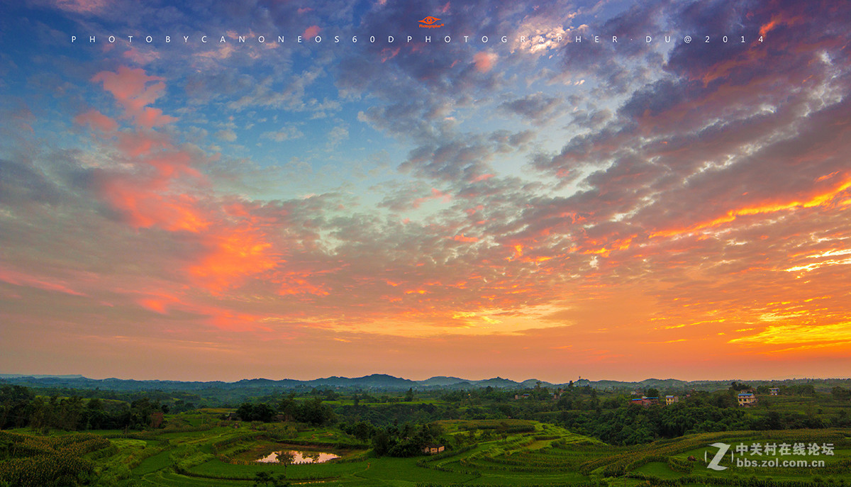 去年夏天，我和我的60D