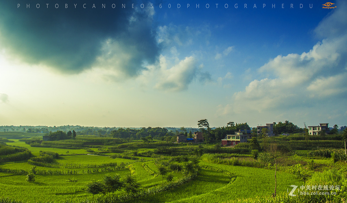 去年夏天，我和我的60D