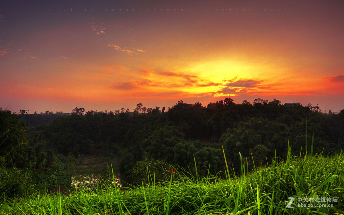 去年夏天，我和我的60D