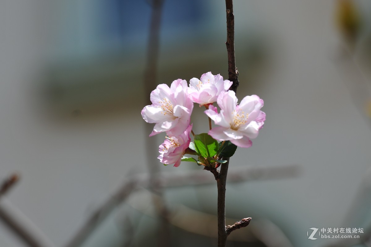 试拍海裳 原片直出