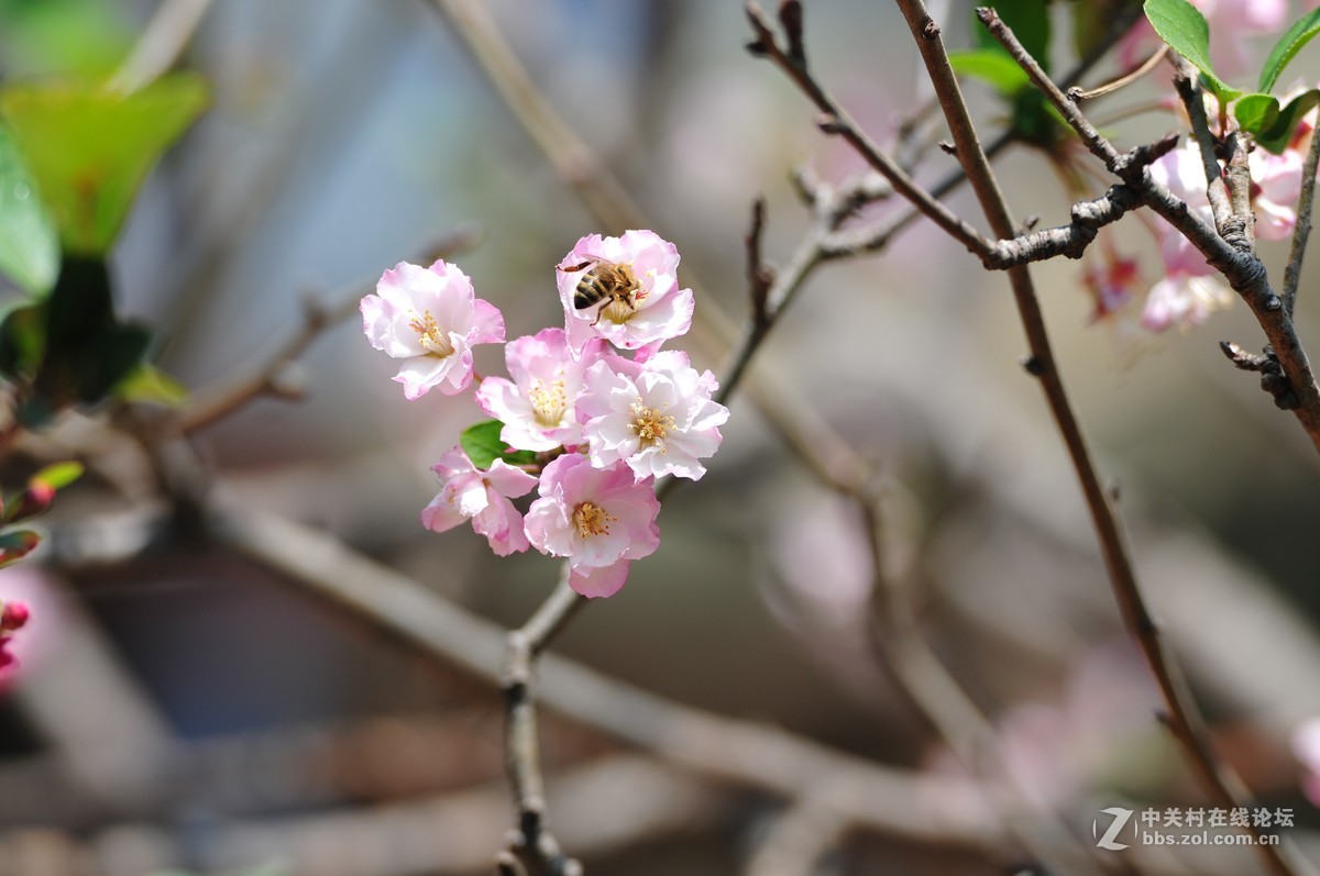 试拍海裳 原片直出