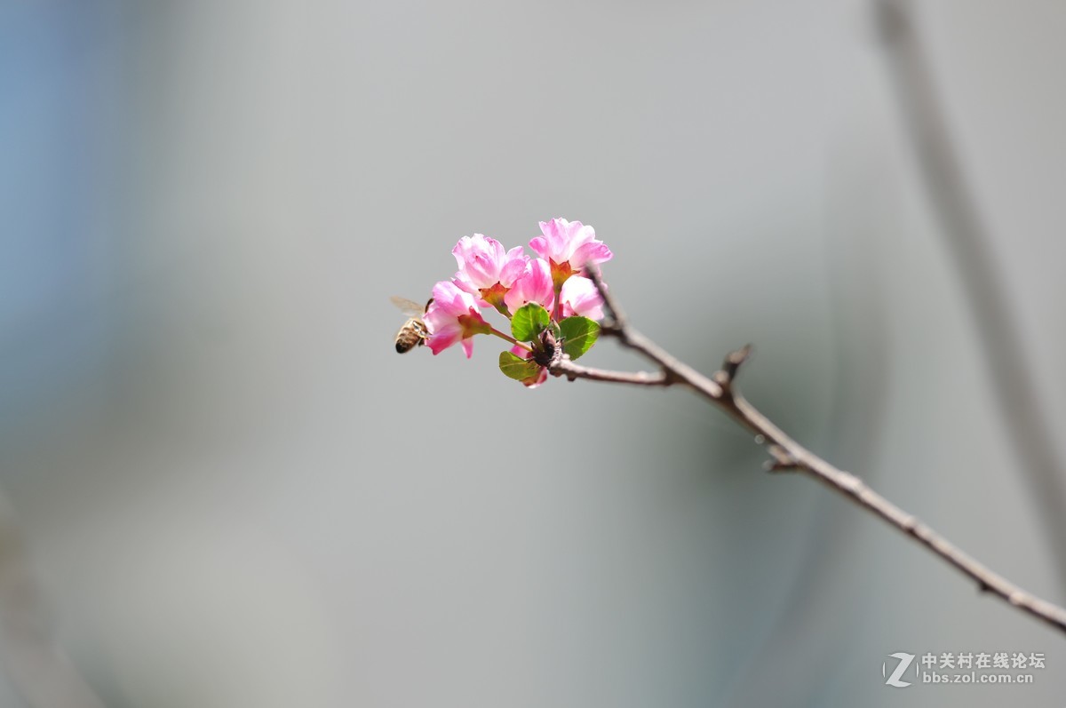 试拍海裳 原片直出