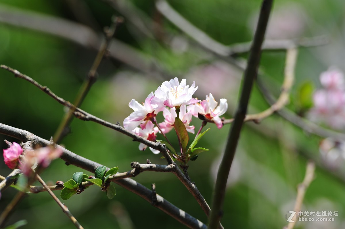 试拍海裳 原片直出