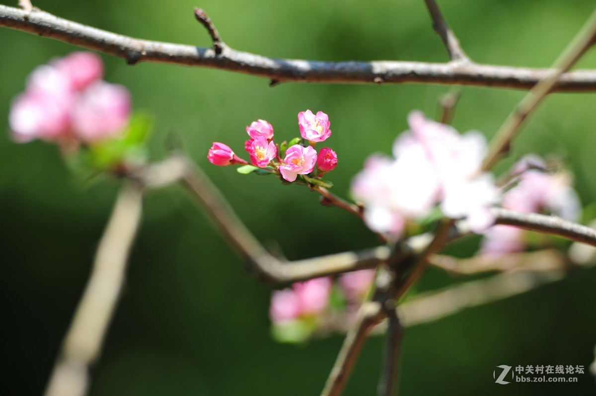 试拍海裳 原片直出