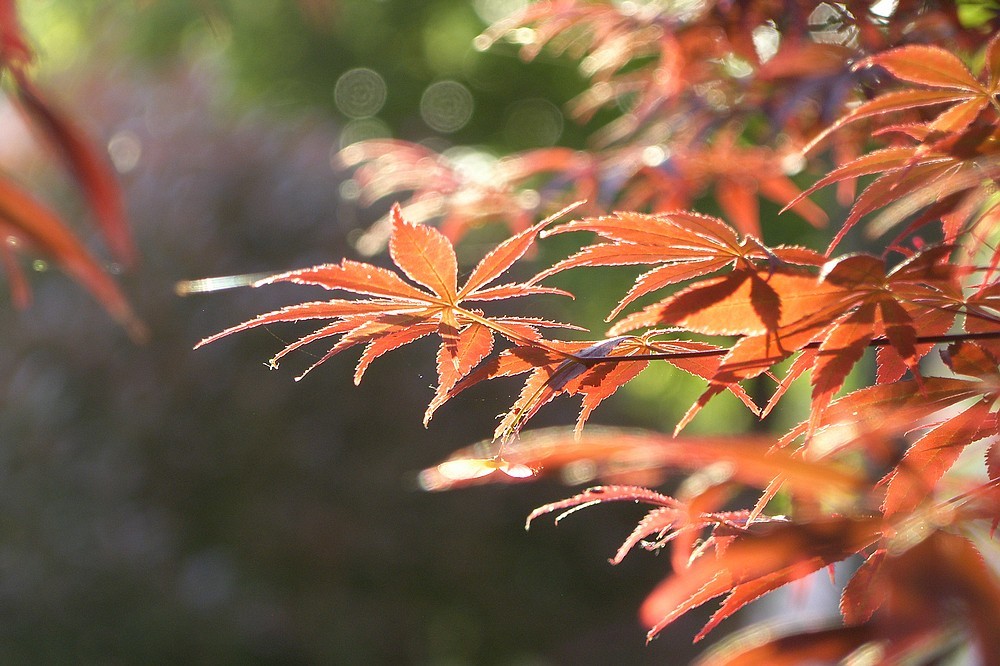 星空体育平台PRO815试机照一组