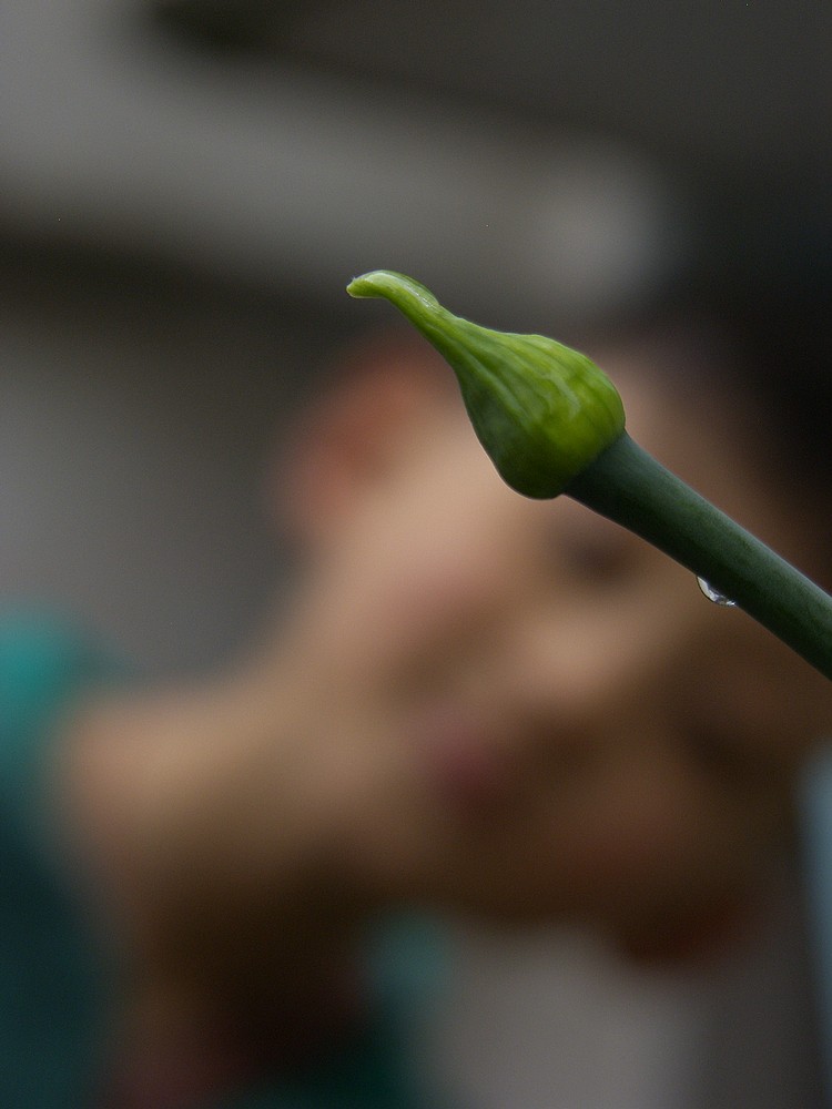 星空体育平台PRO815试机照一组