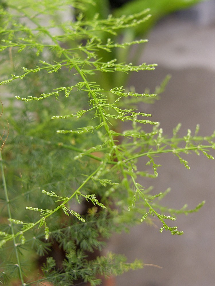 星空体育平台PRO815试机照一组