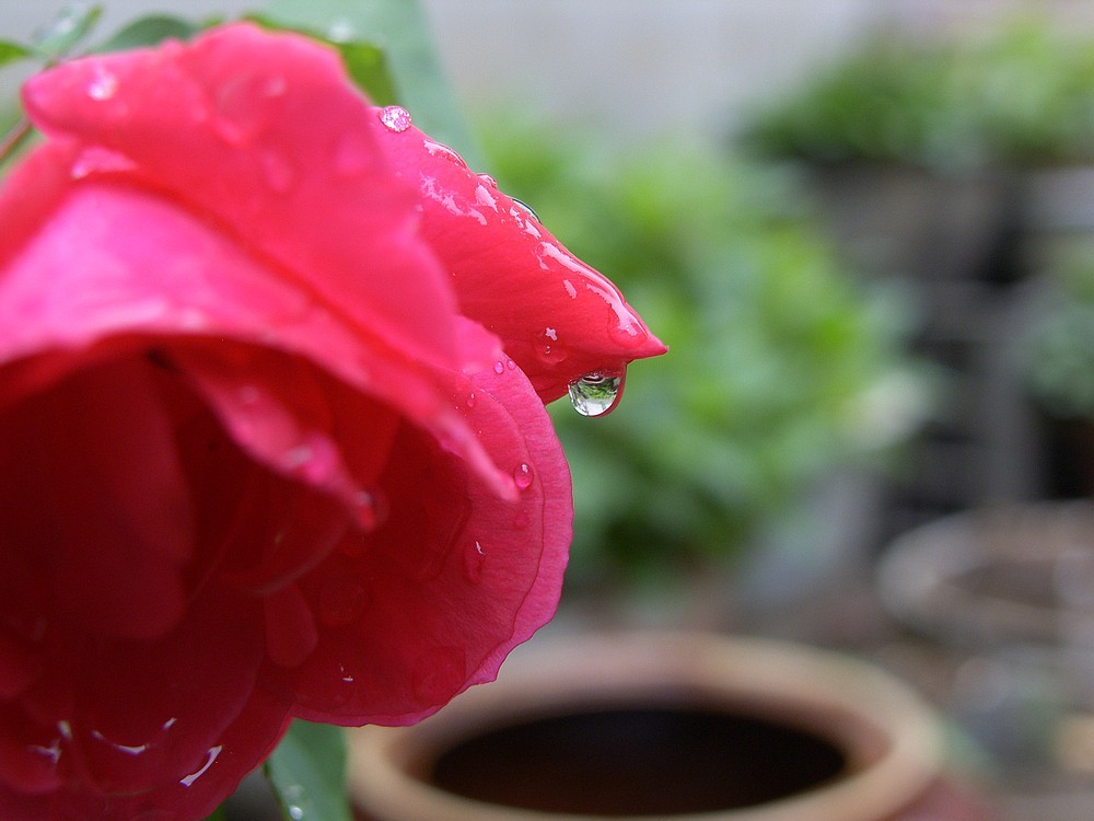 星空体育平台PRO815试机照一组