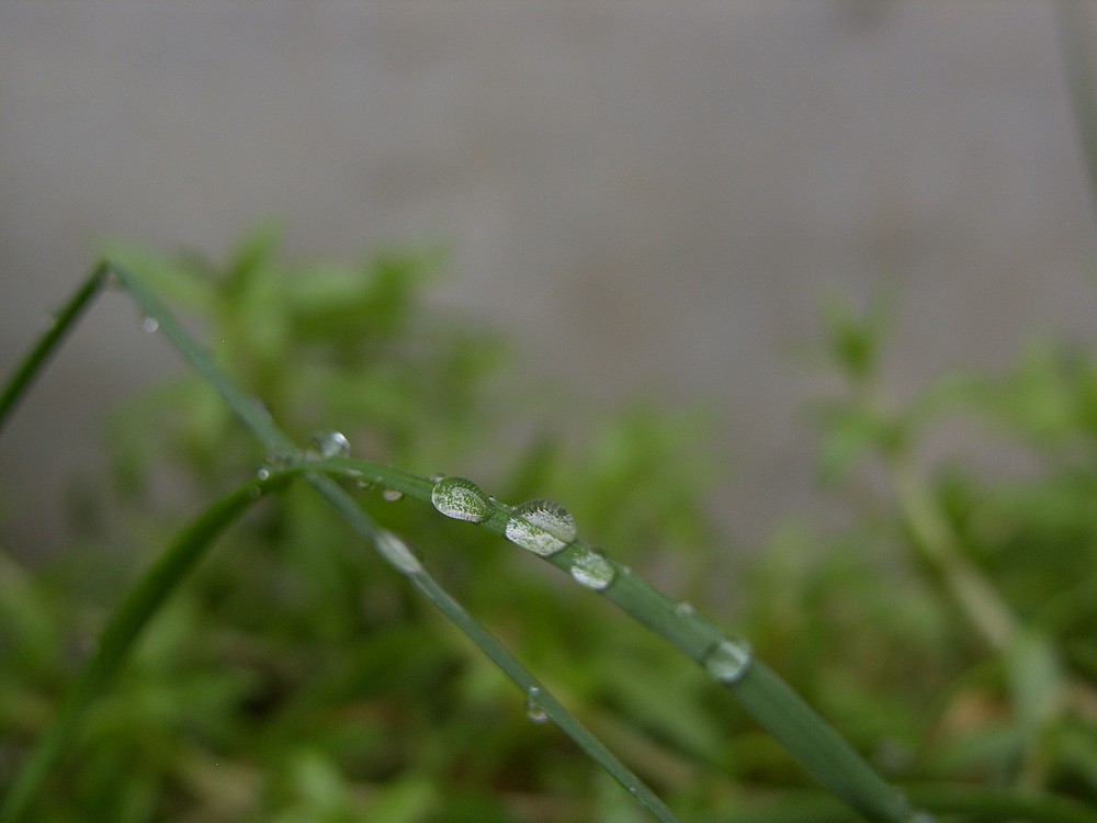 星空体育平台PRO815试机照一组