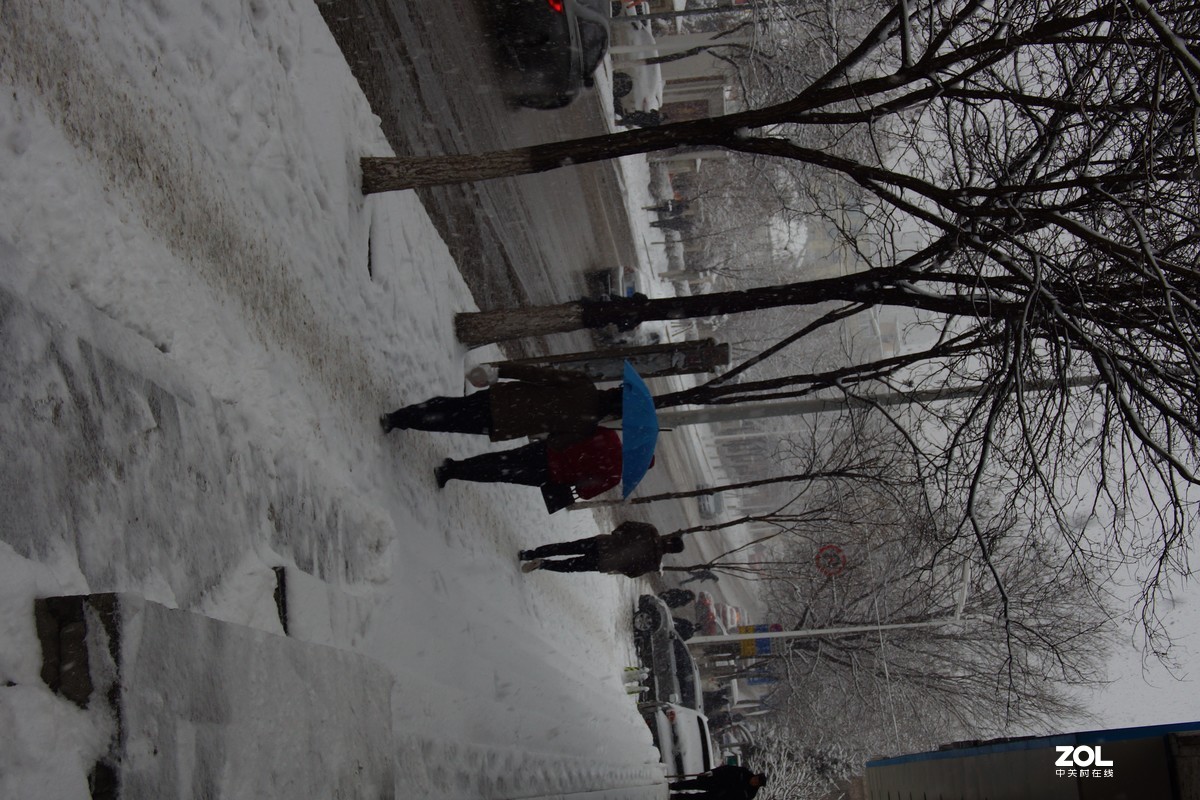 春天的雪。照片没有处理，新手还不会上图有重复。原凉。