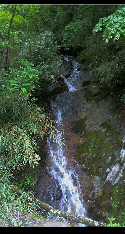 “唐家河”国家自然保护区风景