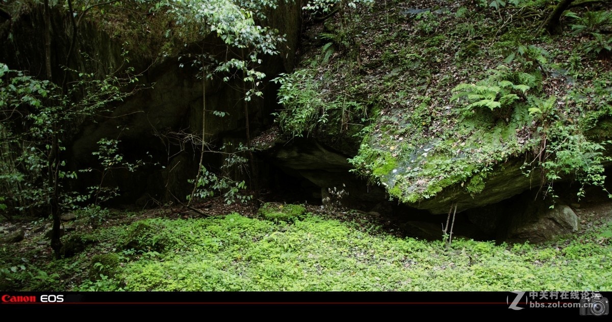 “唐家河”国家自然保护区风景