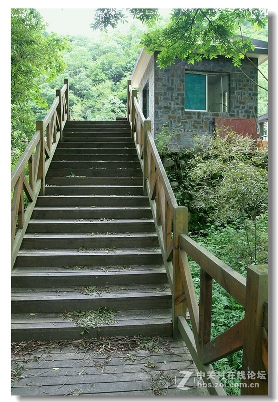 “唐家河”国家自然保护区风景